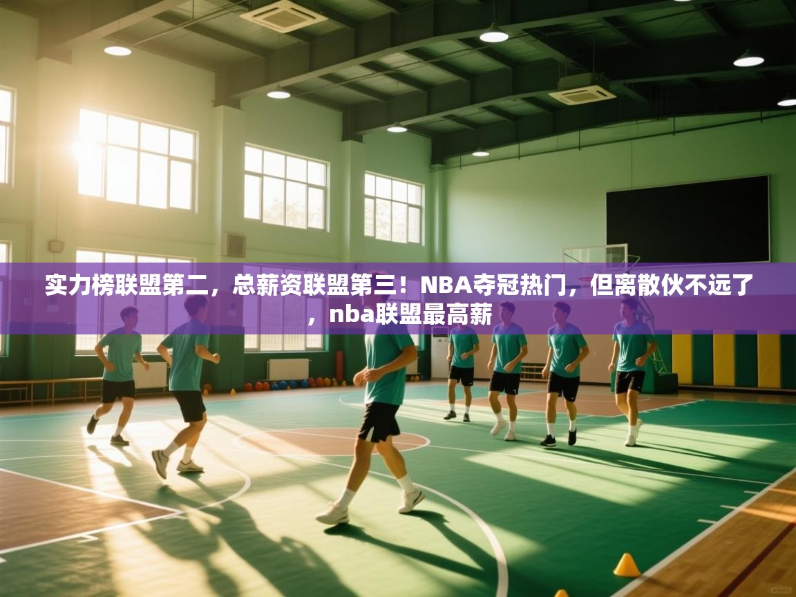 开云体育在线登入-实力榜联盟第二,总薪资联盟第三!NBA夺冠热门,但离散伙不远了,nba联盟最高薪 第1张