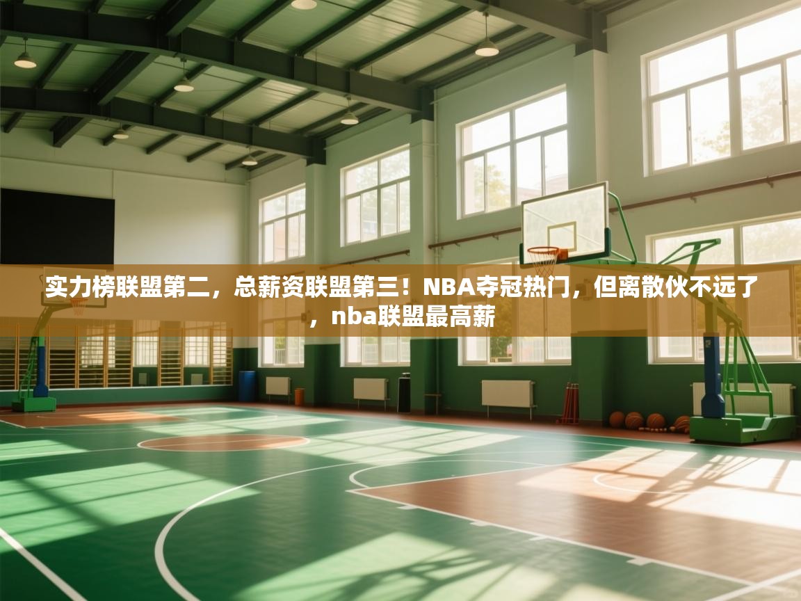 开云体育在线登入-实力榜联盟第二,总薪资联盟第三!NBA夺冠热门,但离散伙不远了,nba联盟最高薪 第2张