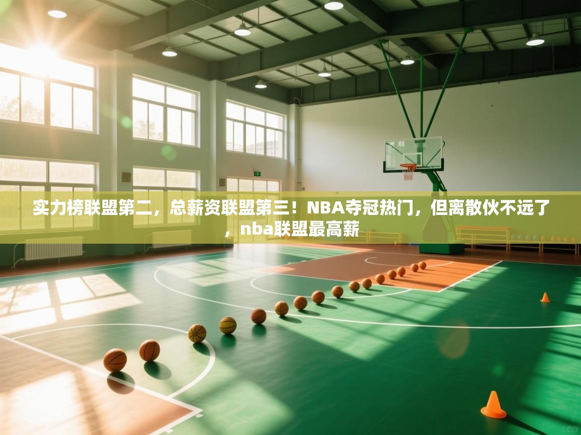 开云体育在线登入-实力榜联盟第二,总薪资联盟第三!NBA夺冠热门,但离散伙不远了,nba联盟最高薪 第4张