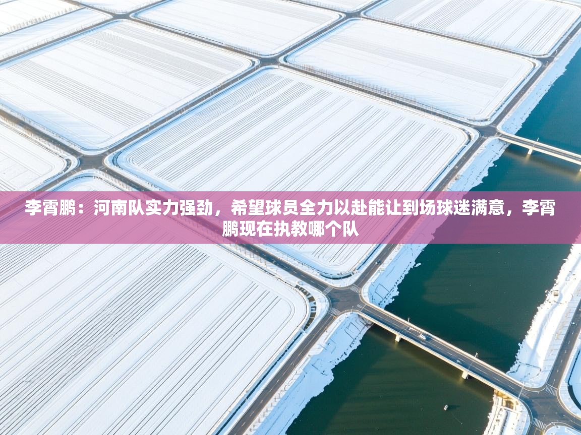 开云体育新人指引-李霄鹏：河南队实力强劲，希望球员全力以赴能让到场球迷满意，李霄鹏现在执教哪个队  第1张