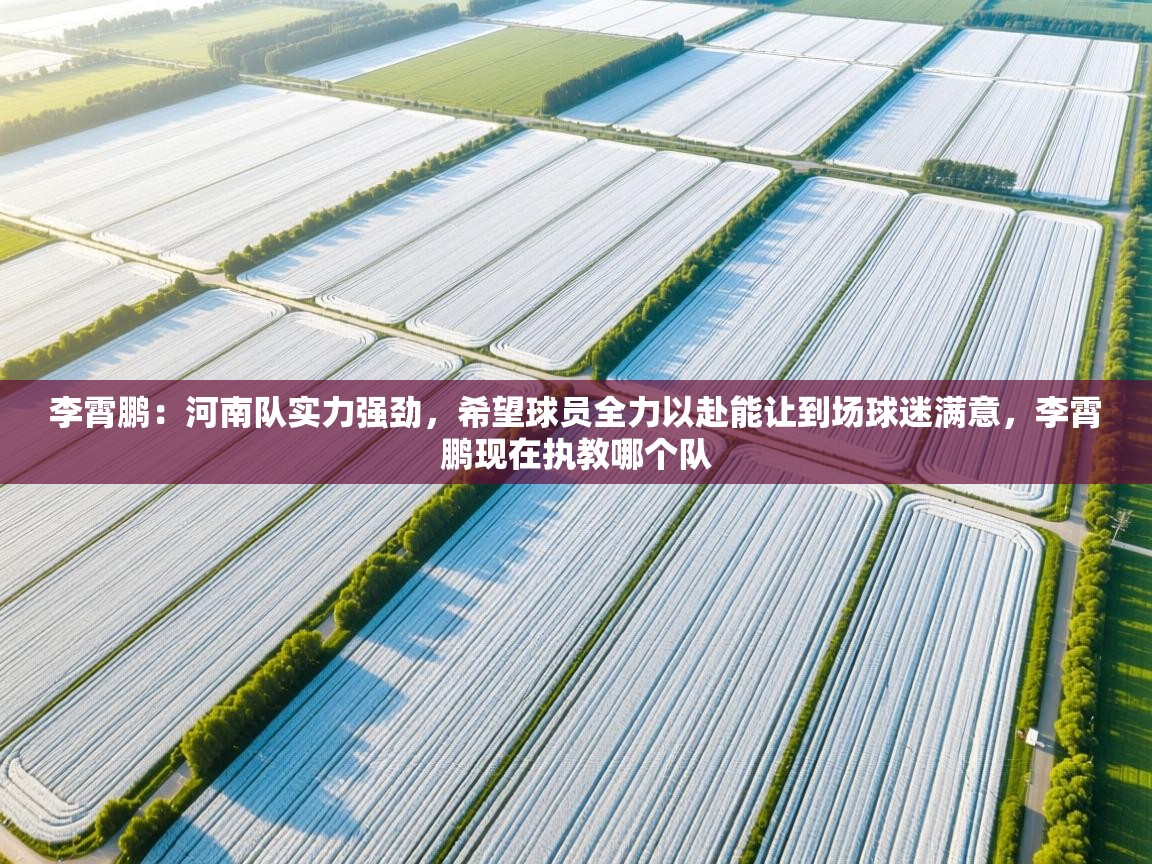开云体育新人指引-李霄鹏：河南队实力强劲，希望球员全力以赴能让到场球迷满意，李霄鹏现在执教哪个队  第2张