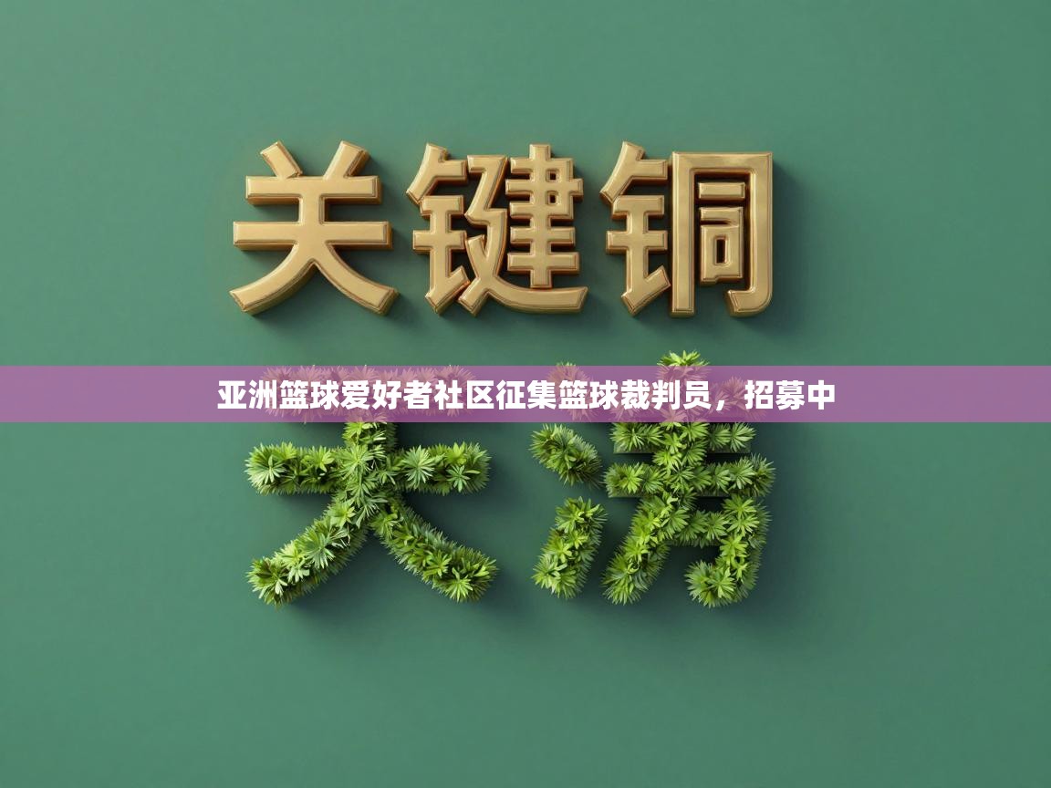 云开体育app登录入口-亚洲篮球爱好者社区征集篮球裁判员,招募中 第3张