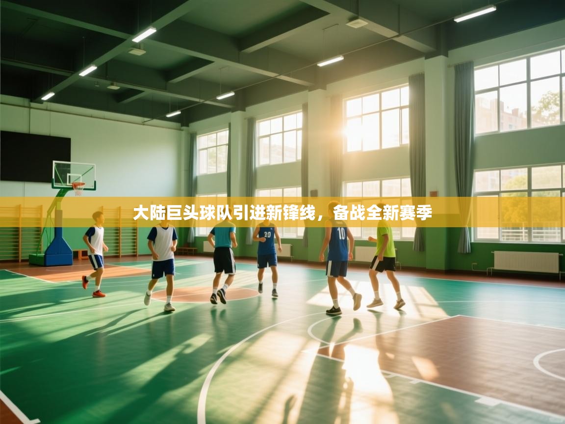 开云体育注册-大陆巨头球队引进新锋线，备战全新赛季  第2张