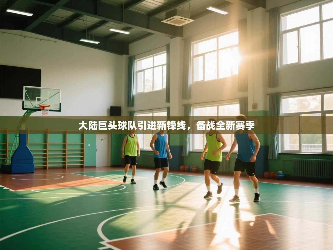 开云体育注册-大陆巨头球队引进新锋线，备战全新赛季  第3张